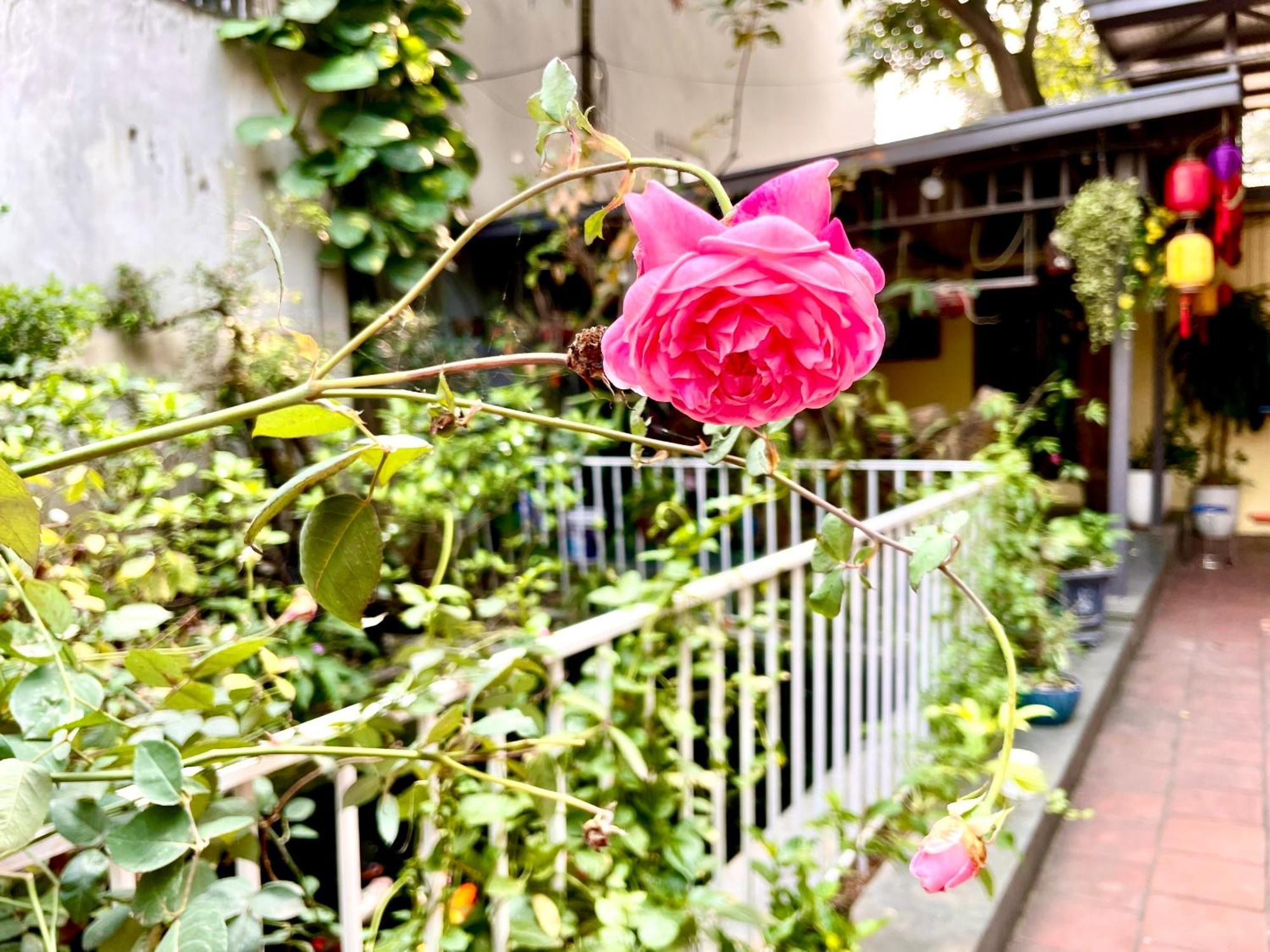 Lee Homestay Ανόι Εξωτερικό φωτογραφία
